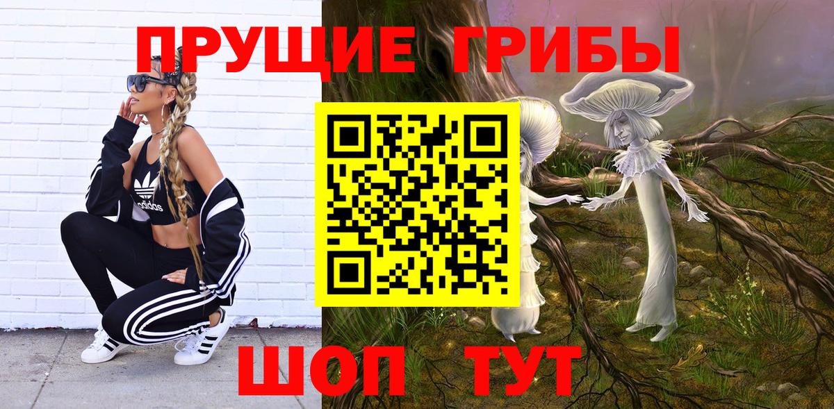 Псилоцибиновые грибы Psilocybe Пермь