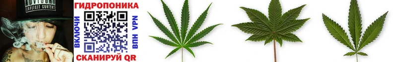 Каннабис OG Kush  Пермь 